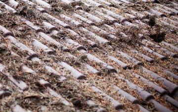 Bartington roof cleaning companies