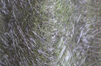 Bartington fibreglass roof work